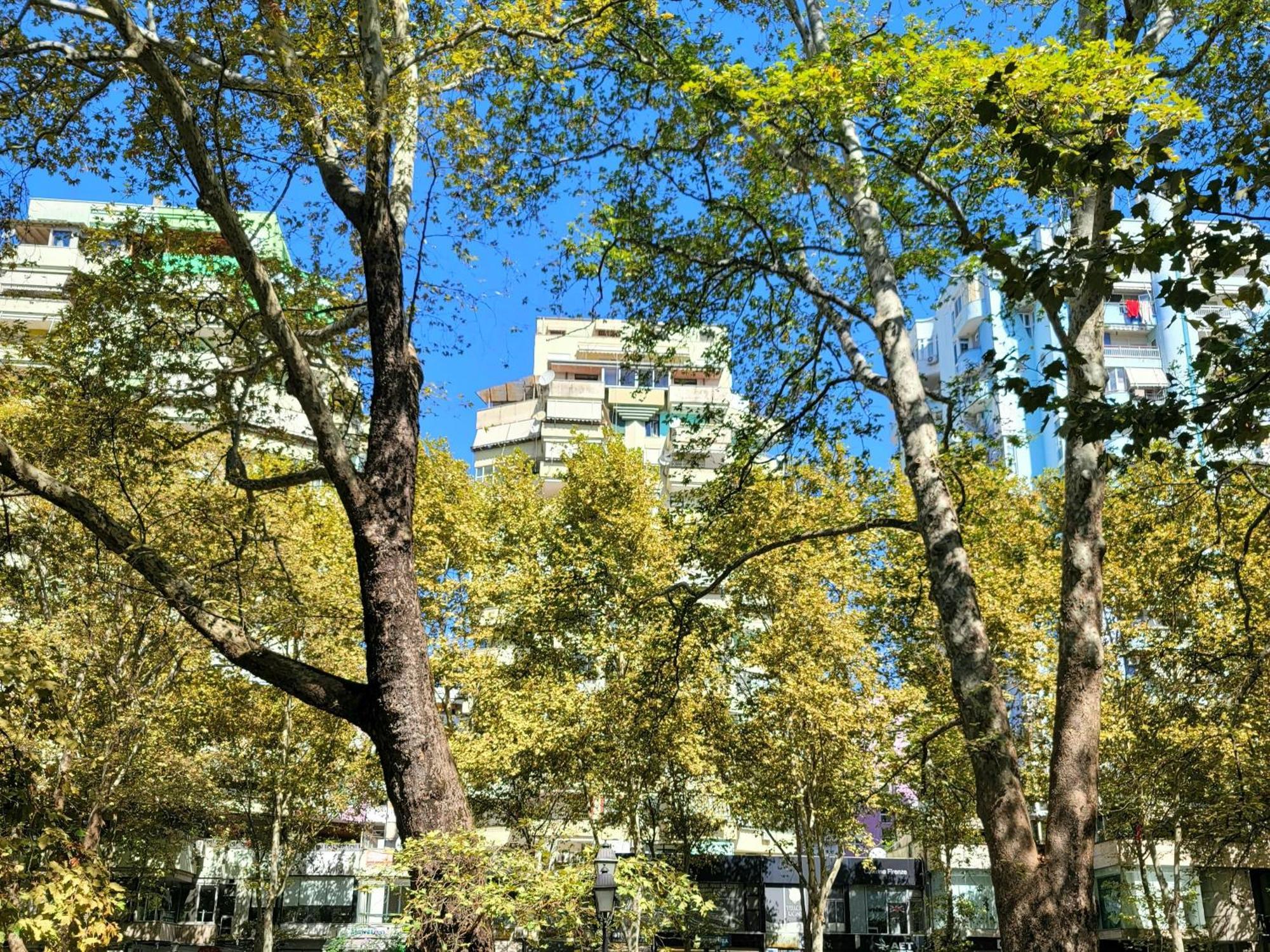 Panoramic Apartment Тирана Экстерьер фото